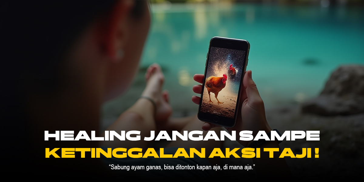 Mengenal Jenis-Jenis Ayam Sabung Populer di SV388