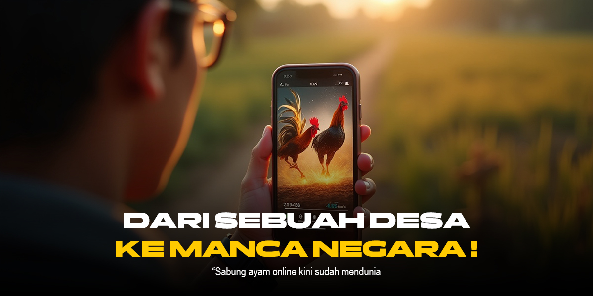 Mengenal Jenis Ayam Bangkok Aduan di Platform SV388